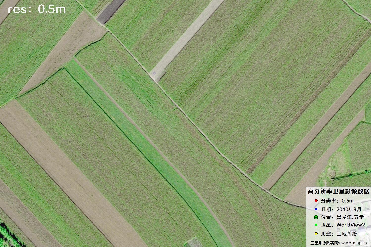 黑龙江五常市2010年WV2卫星0.5米分辨率影像地图