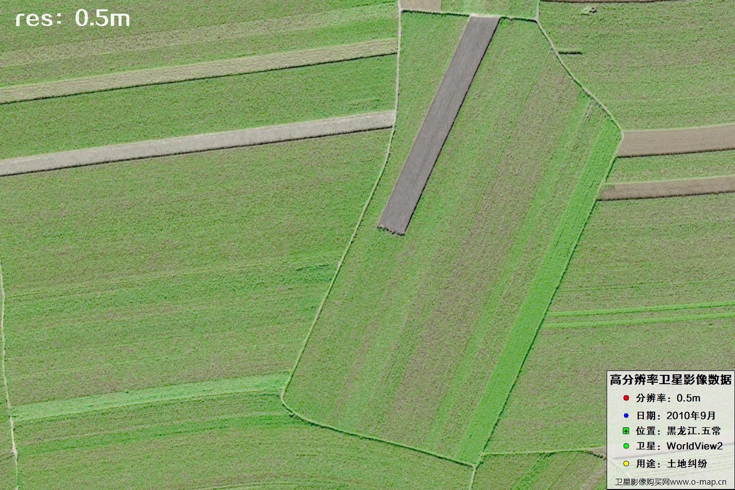 黑龙江五常市2010年WV2卫星0.5米分辨率影像地图