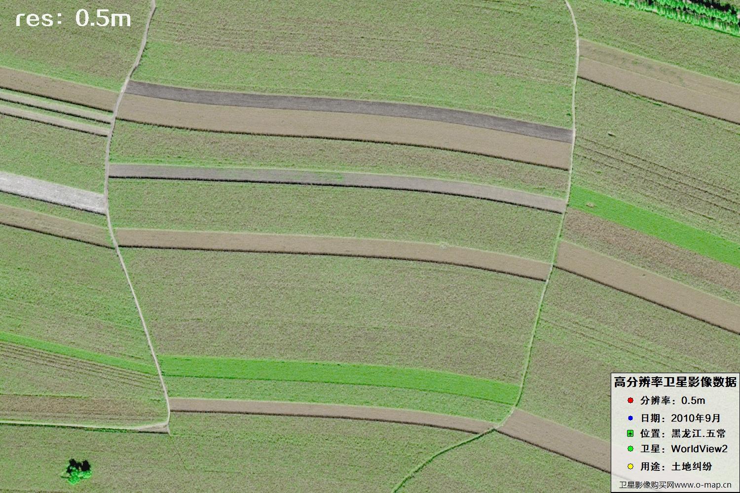 黑龙江五常市2010年WV2卫星0.5米分辨率影像地图