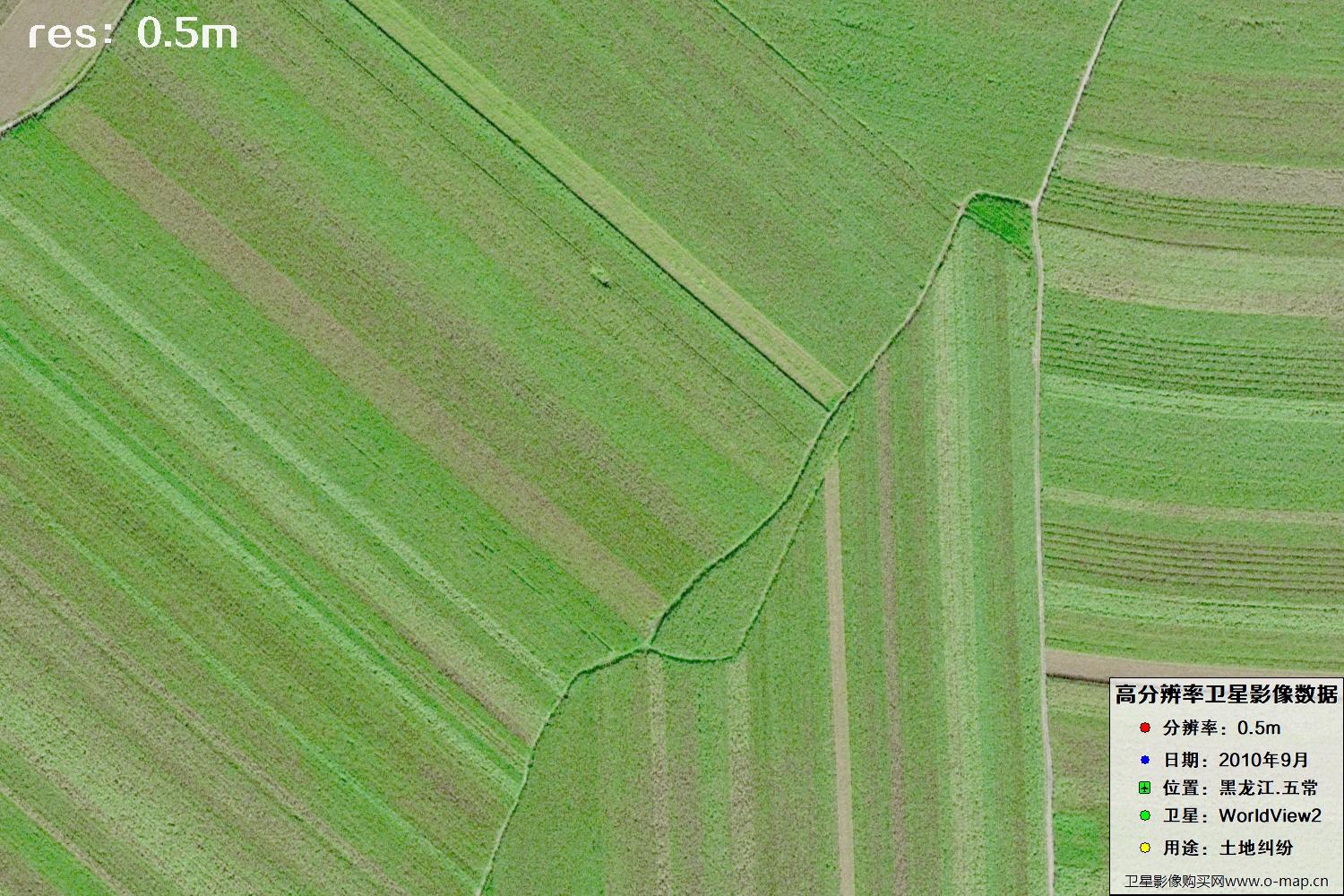 黑龙江五常市2010年WV2卫星0.5米分辨率影像地图