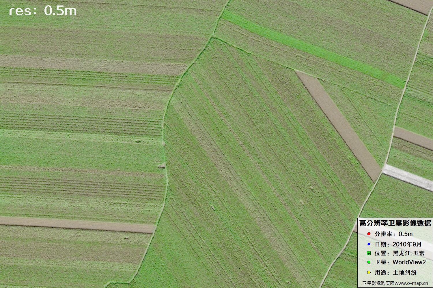 黑龙江五常市2010年WV2卫星0.5米分辨率影像地图