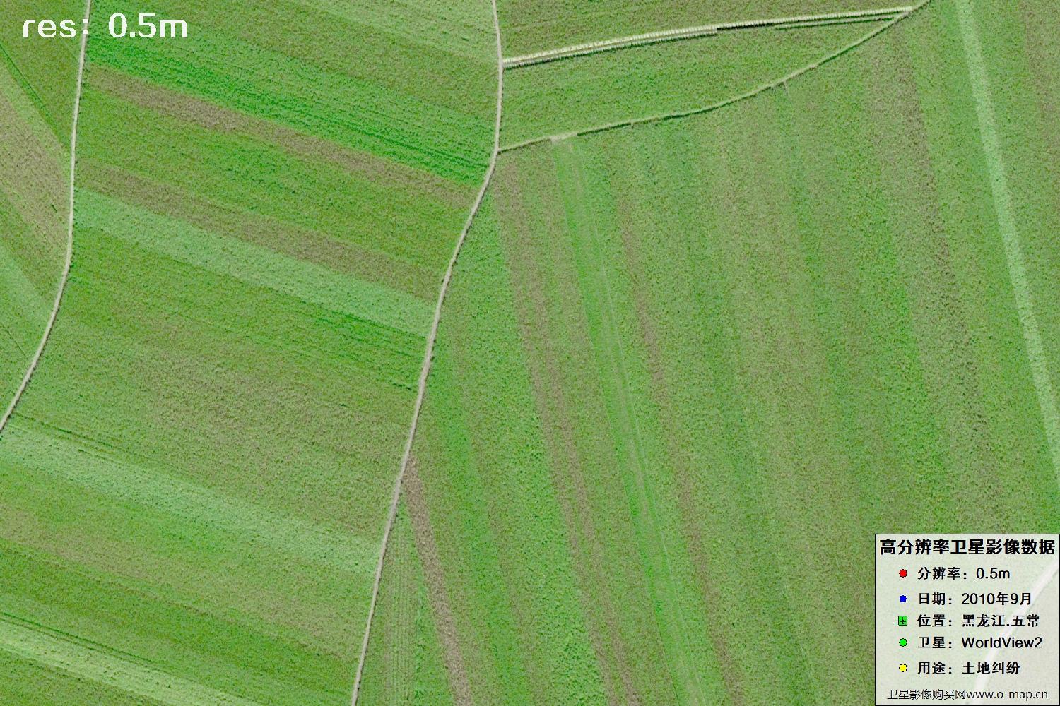 黑龙江五常市2010年WV2卫星0.5米分辨率影像地图