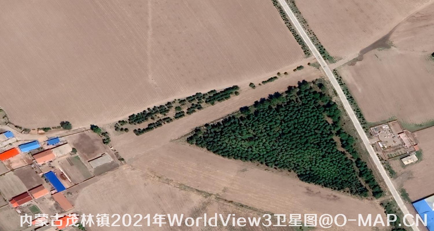 WorldView3卫星2021年拍摄的内蒙古茂林镇0.3米卫星图