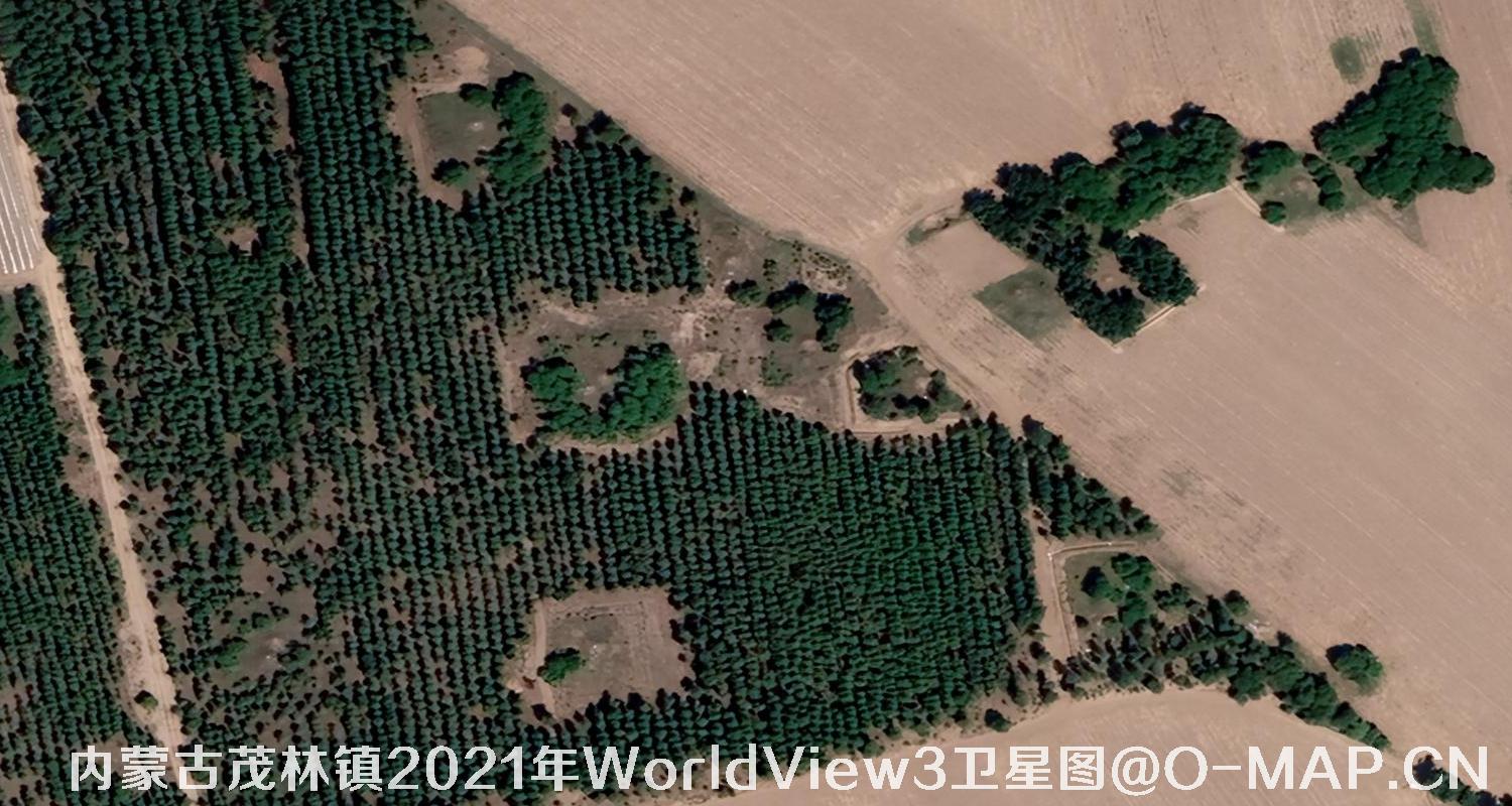 WorldView3卫星2021年拍摄的内蒙古茂林镇0.3米卫星图