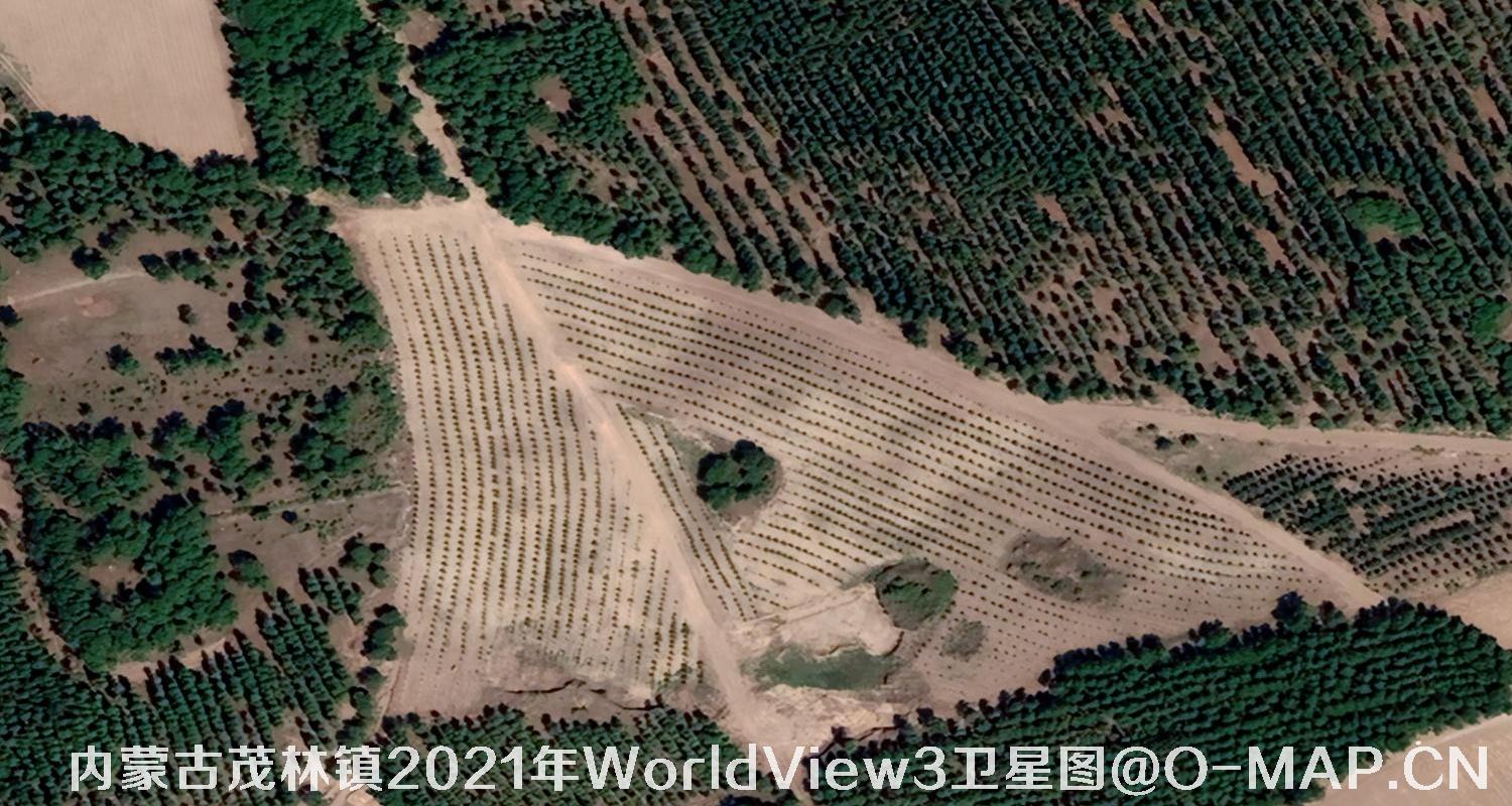 WorldView3卫星2021年拍摄的内蒙古茂林镇0.3米卫星图