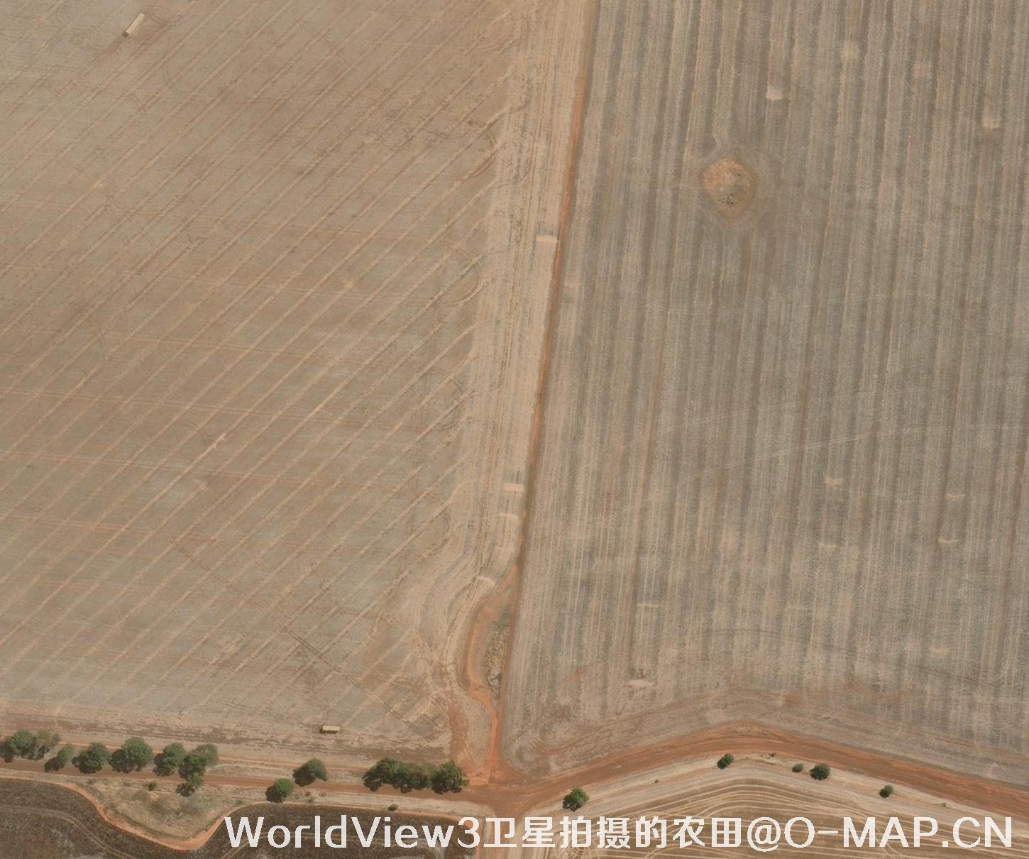 0.3米分辨率的农田WorldView3卫星图