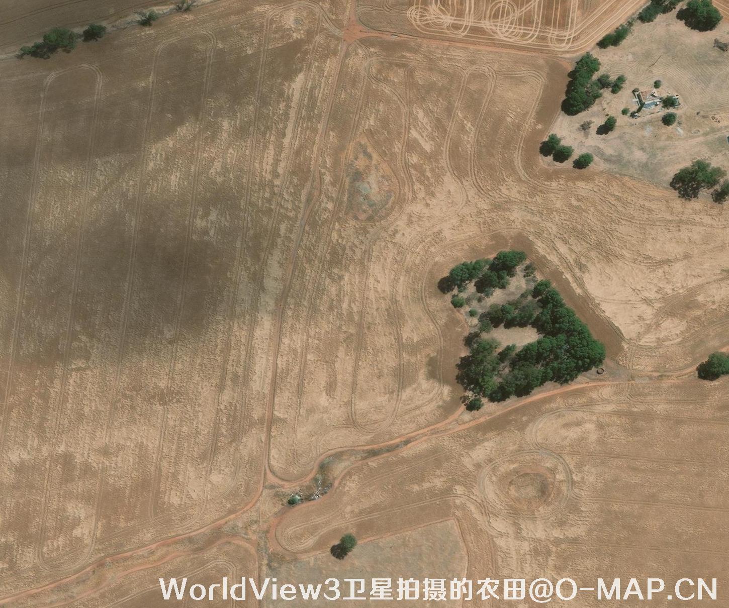 0.3米分辨率的农田WorldView3卫星图