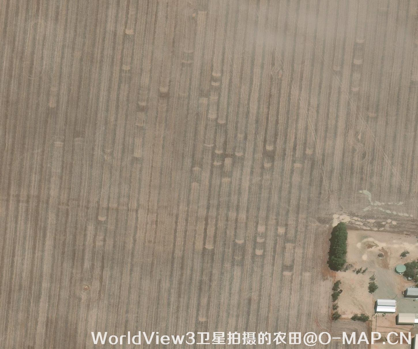 0.3米分辨率的农田WorldView3卫星图
