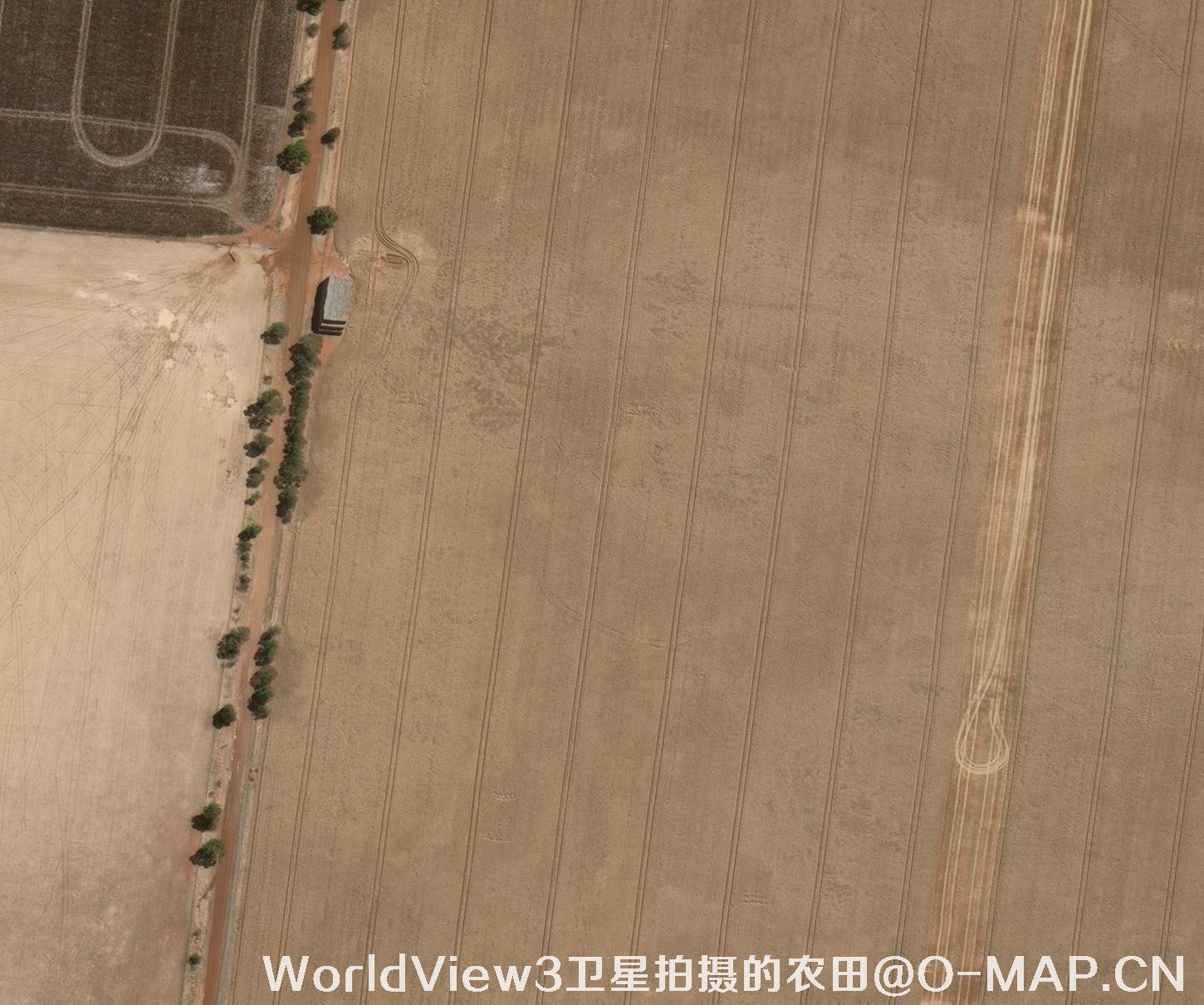 0.3米分辨率的农田WorldView3卫星图