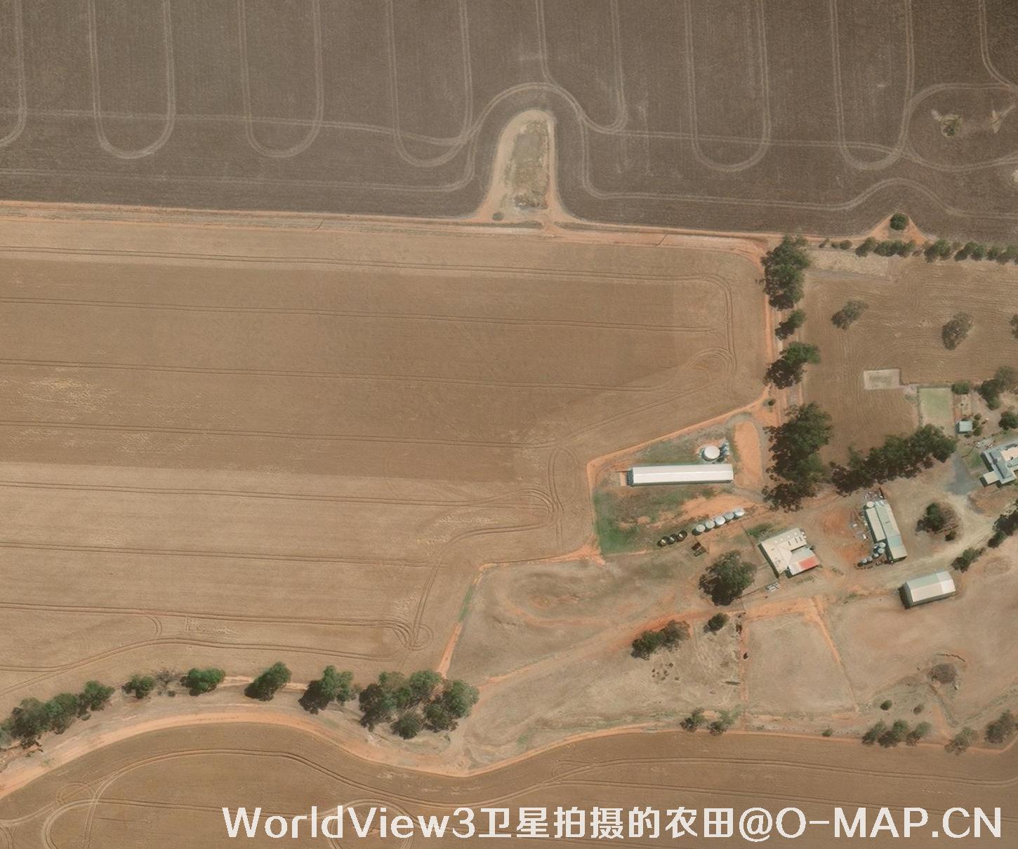 0.3米分辨率的农田WorldView3卫星图