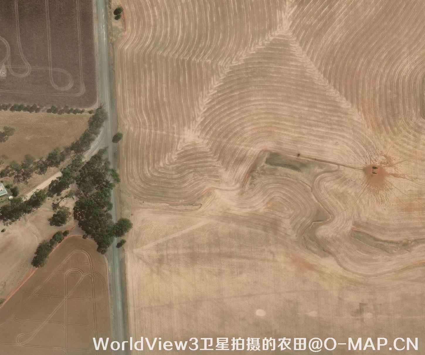 0.3米分辨率的农田WorldView3卫星图