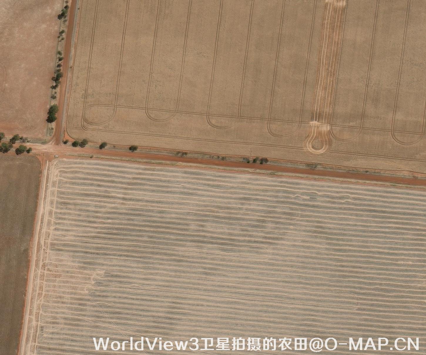 0.3米分辨率的农田WorldView3卫星图