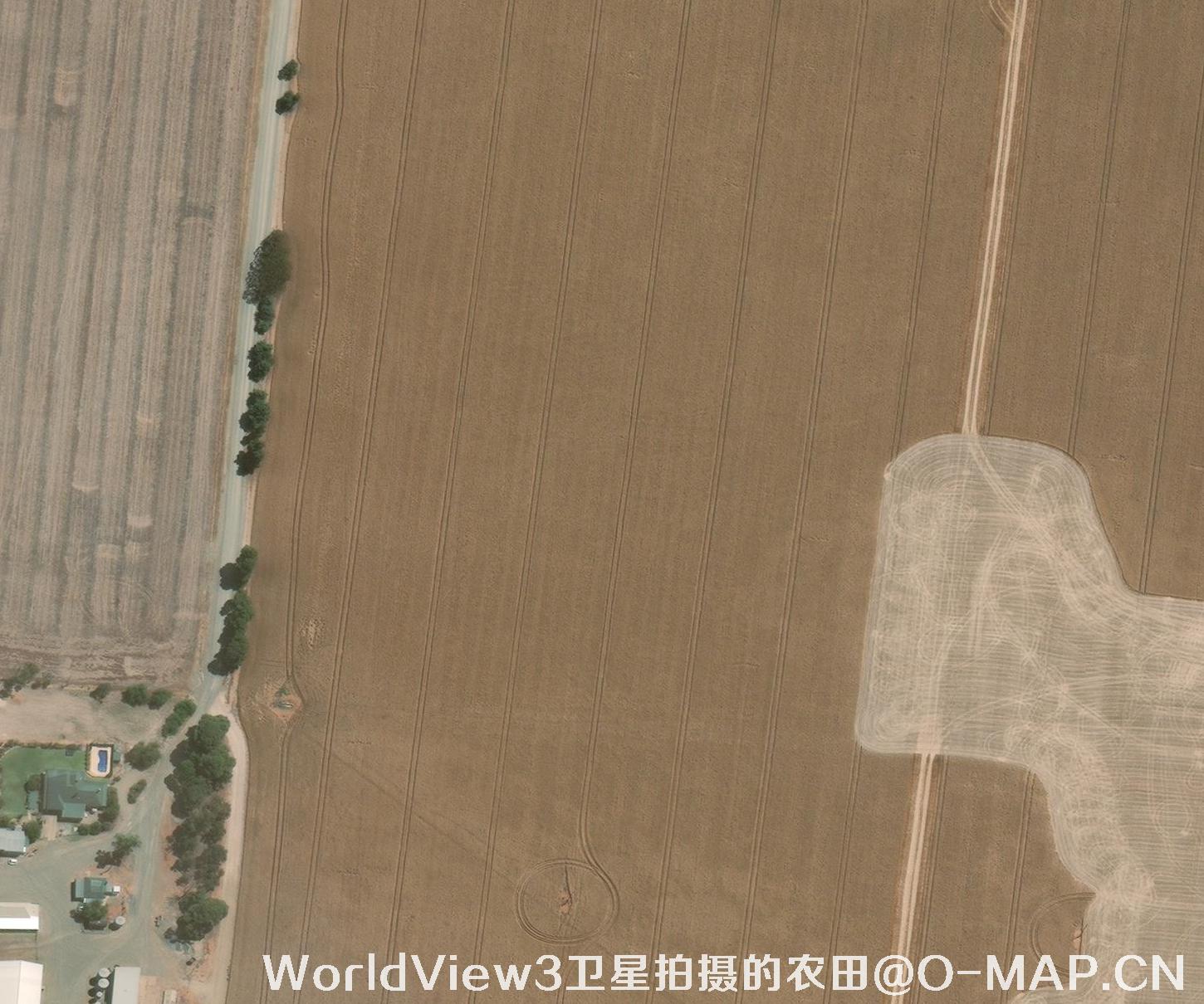 0.3米分辨率的农田WorldView3卫星图