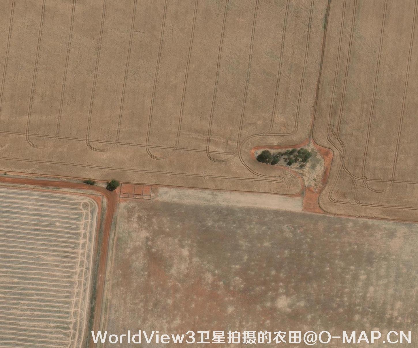 0.3米分辨率的农田WorldView3卫星图