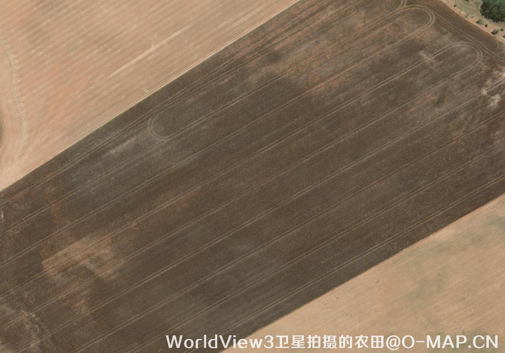 0.3米分辨率的农田WorldView3卫星图