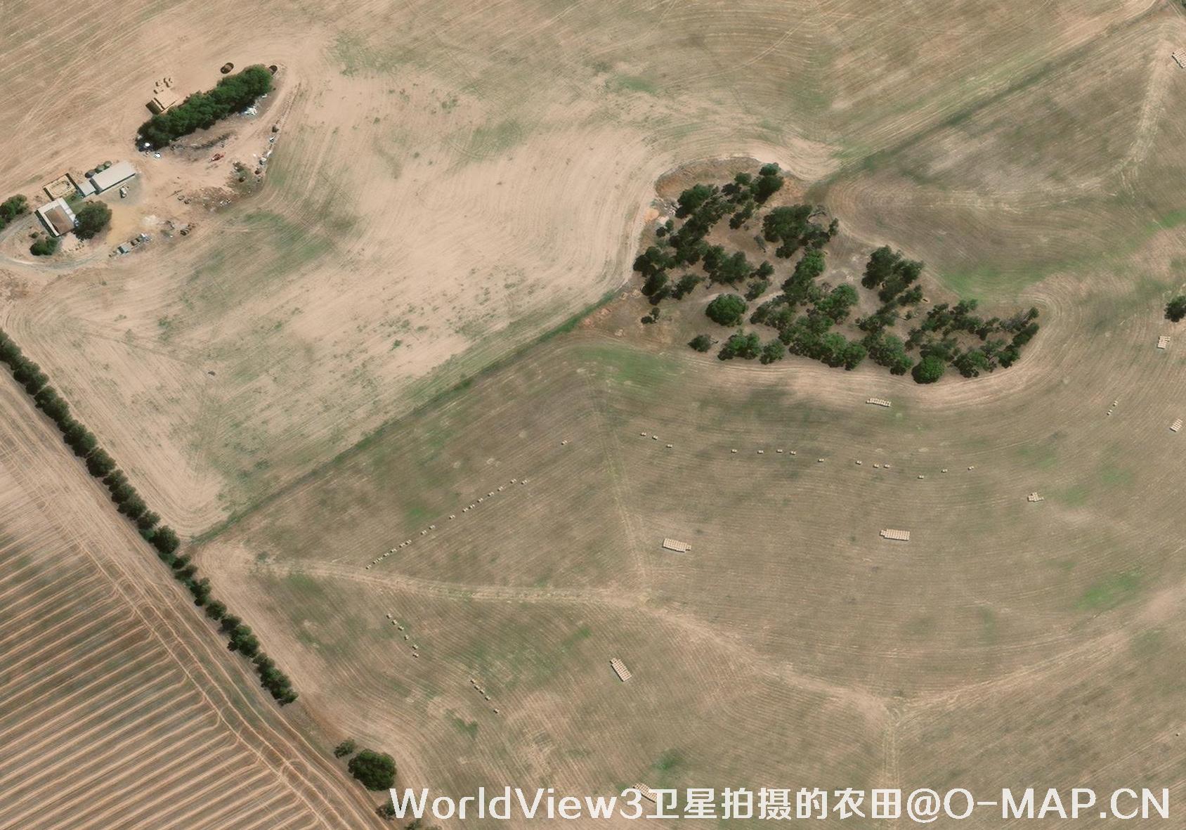 0.3米分辨率的农田WorldView3卫星图
