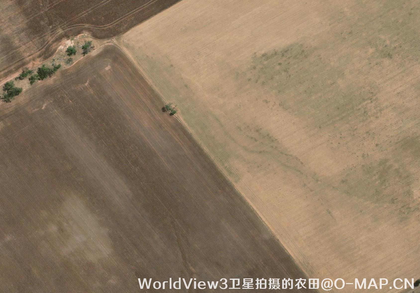 0.3米分辨率的农田WorldView3卫星图