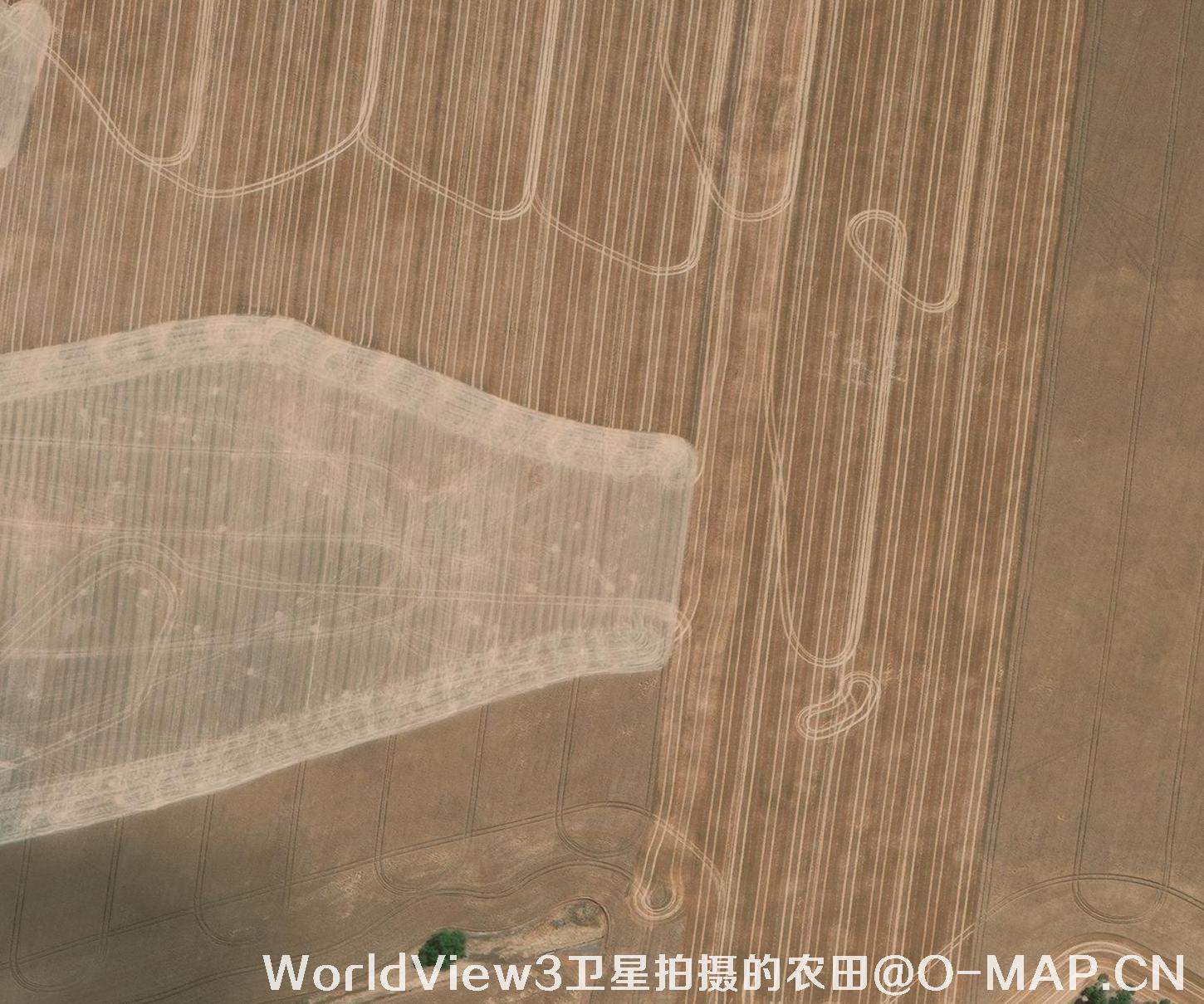 0.3米分辨率的农田WorldView3卫星图