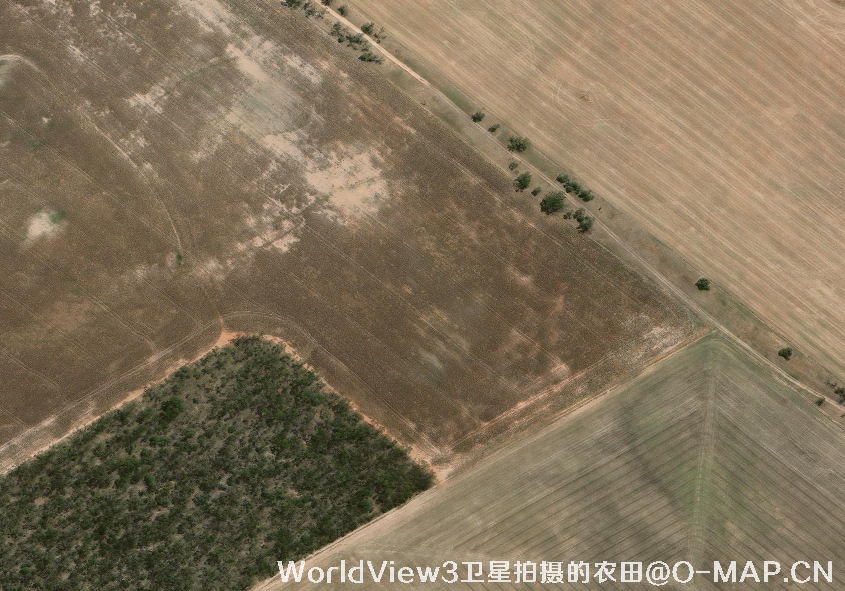 0.3米分辨率的农田WorldView3卫星图