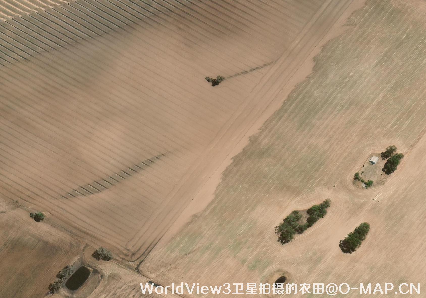 0.3米分辨率的农田WorldView3卫星图
