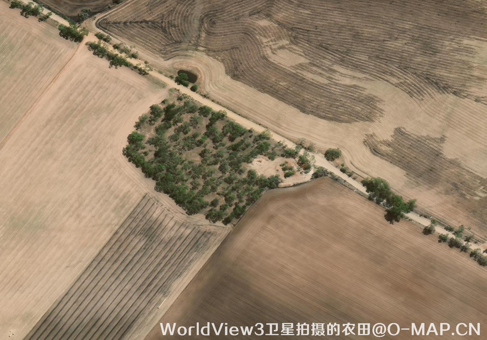 0.3米分辨率的农田WorldView3卫星图