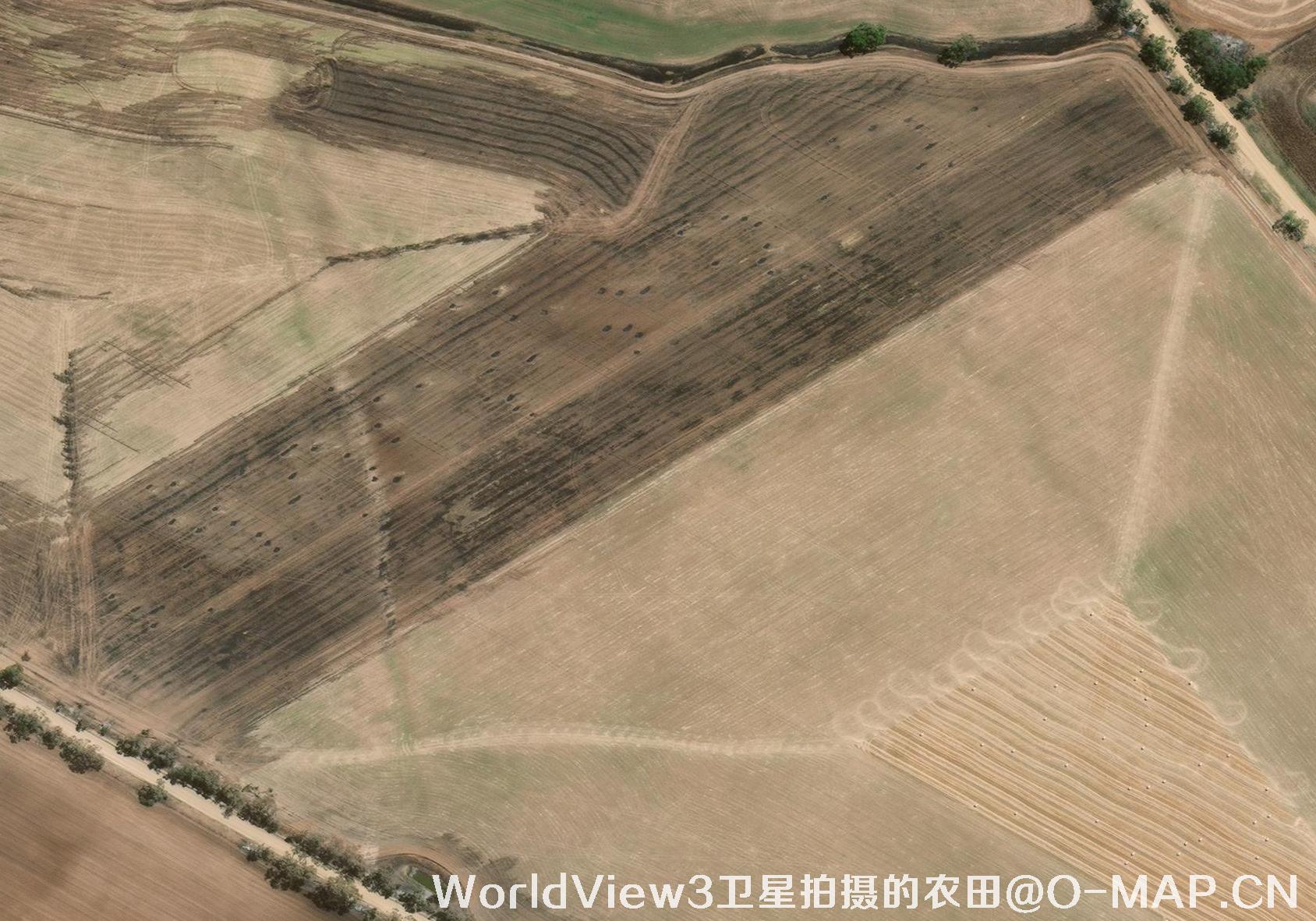0.3米分辨率的农田WorldView3卫星图