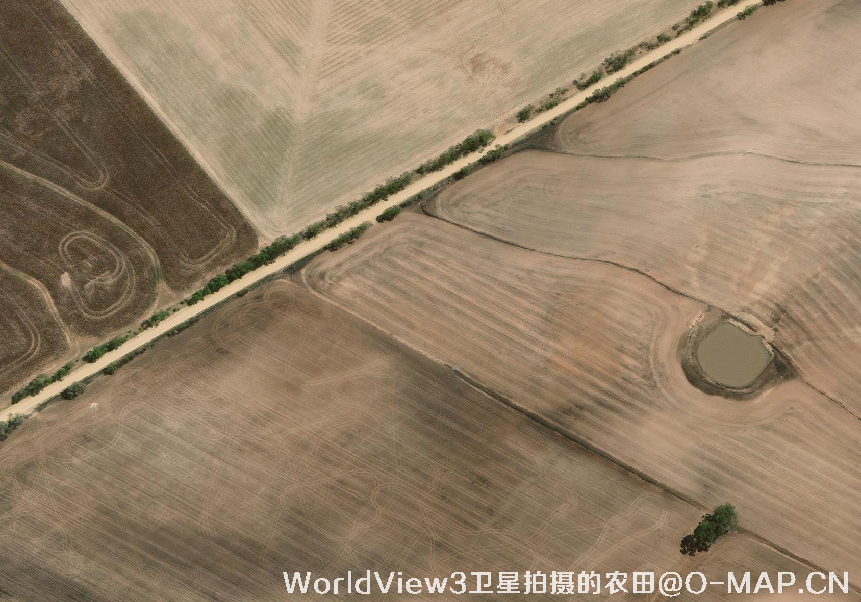 0.3米分辨率的农田WorldView3卫星图