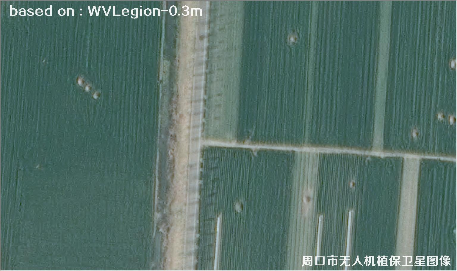 WorldViewLegion卫星2026年3月份拍摄的河南周口耕地0.3米卫星图像