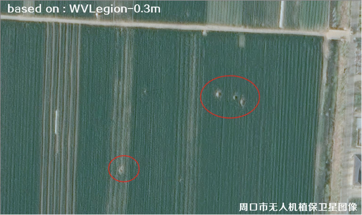 WorldViewLegion卫星2026年3月份拍摄的河南周口耕地0.3米卫星图像