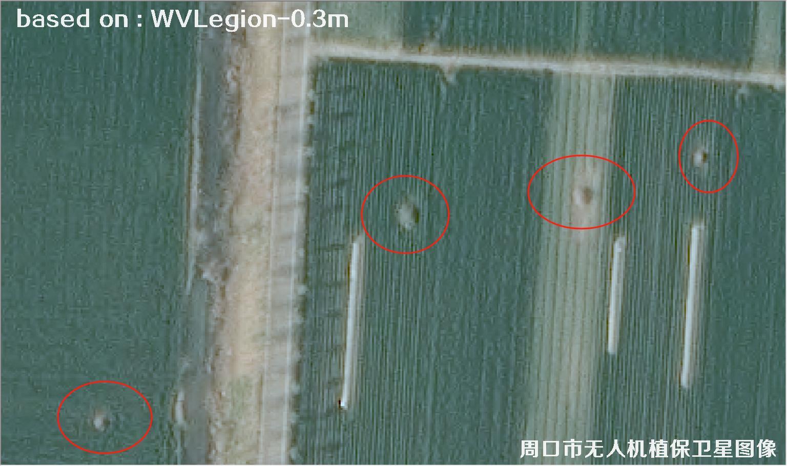 WorldViewLegion卫星2026年3月份拍摄的河南周口耕地0.3米卫星图像