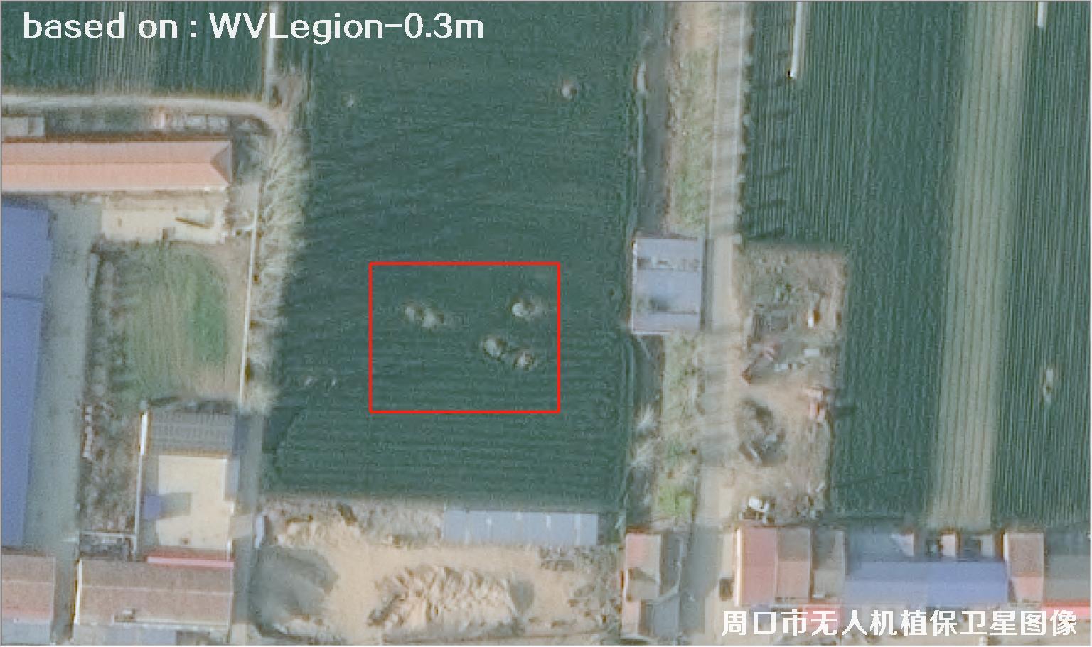 WorldViewLegion卫星2026年3月份拍摄的河南周口耕地0.3米卫星图像