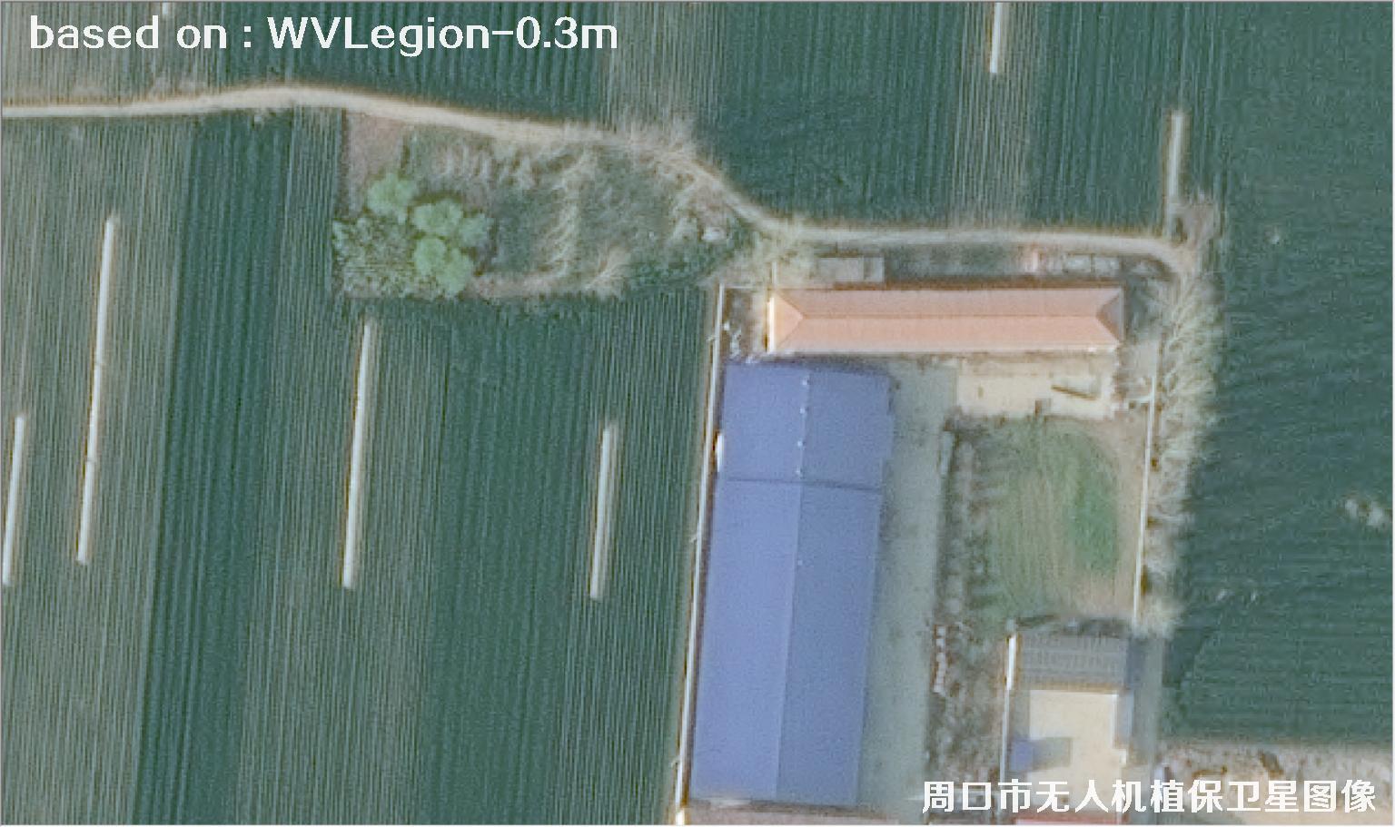 WorldViewLegion卫星2026年3月份拍摄的河南周口耕地0.3米卫星图像