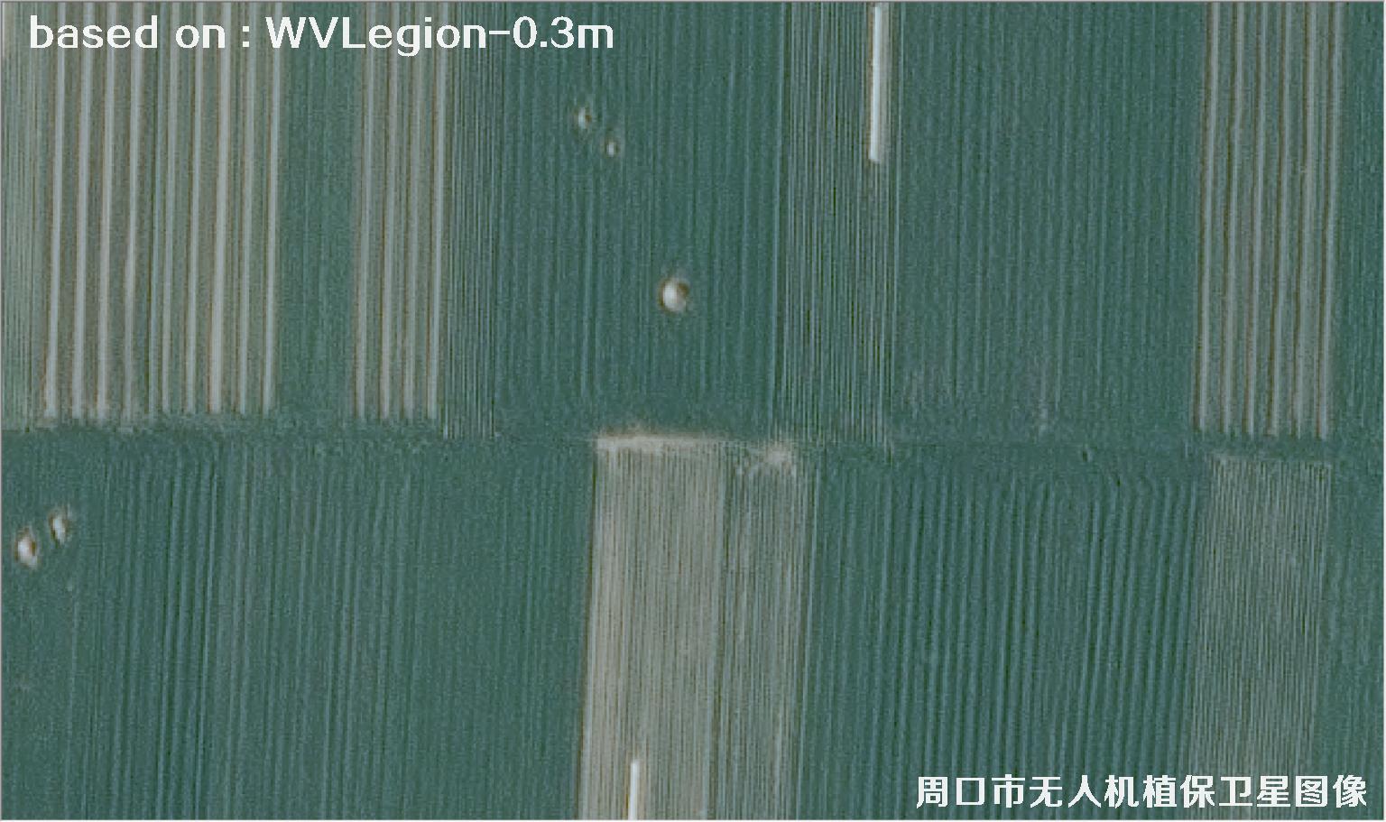 WorldViewLegion卫星2026年3月份拍摄的河南周口耕地0.3米卫星图像
