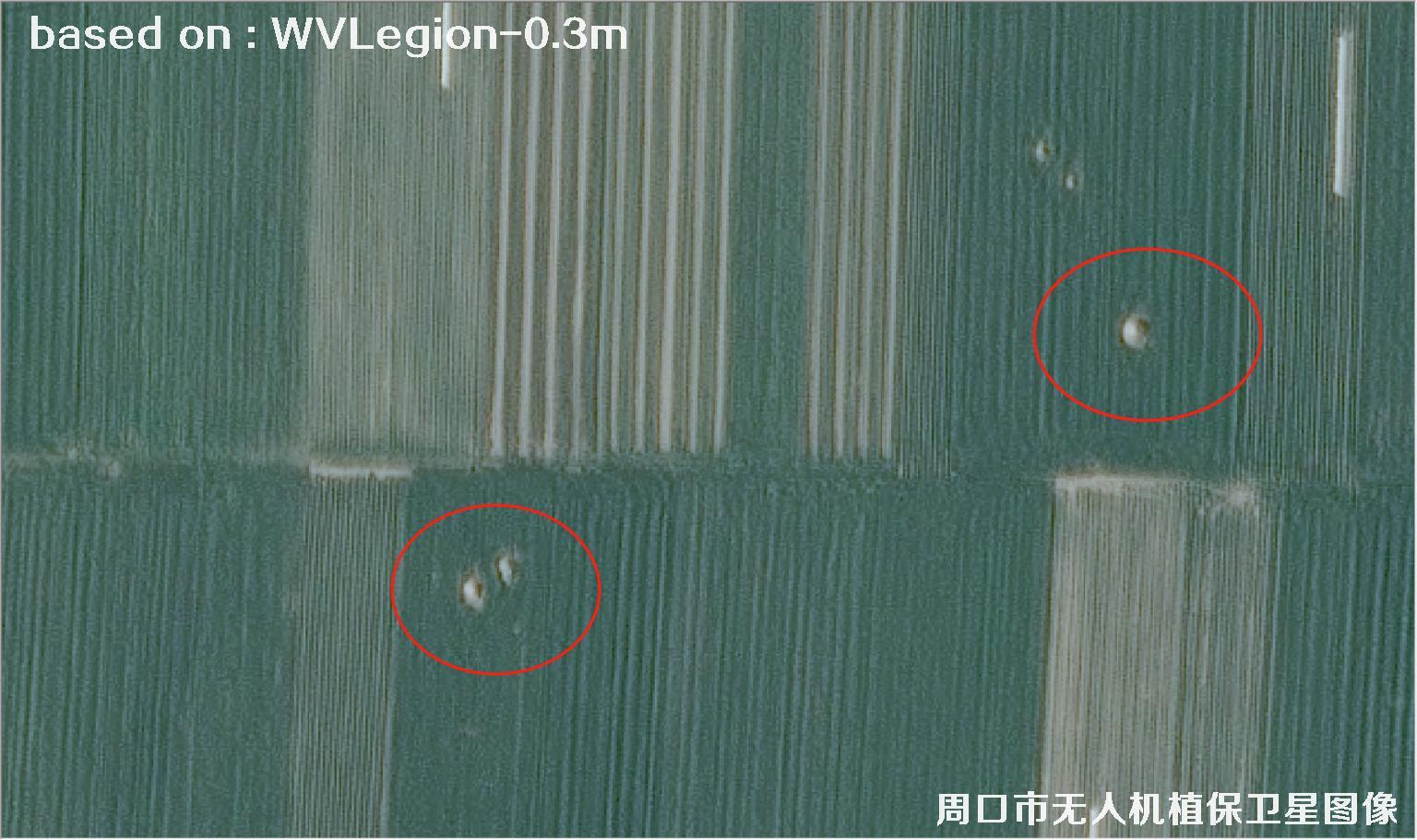 WorldViewLegion卫星2026年3月份拍摄的河南周口耕地0.3米卫星图像