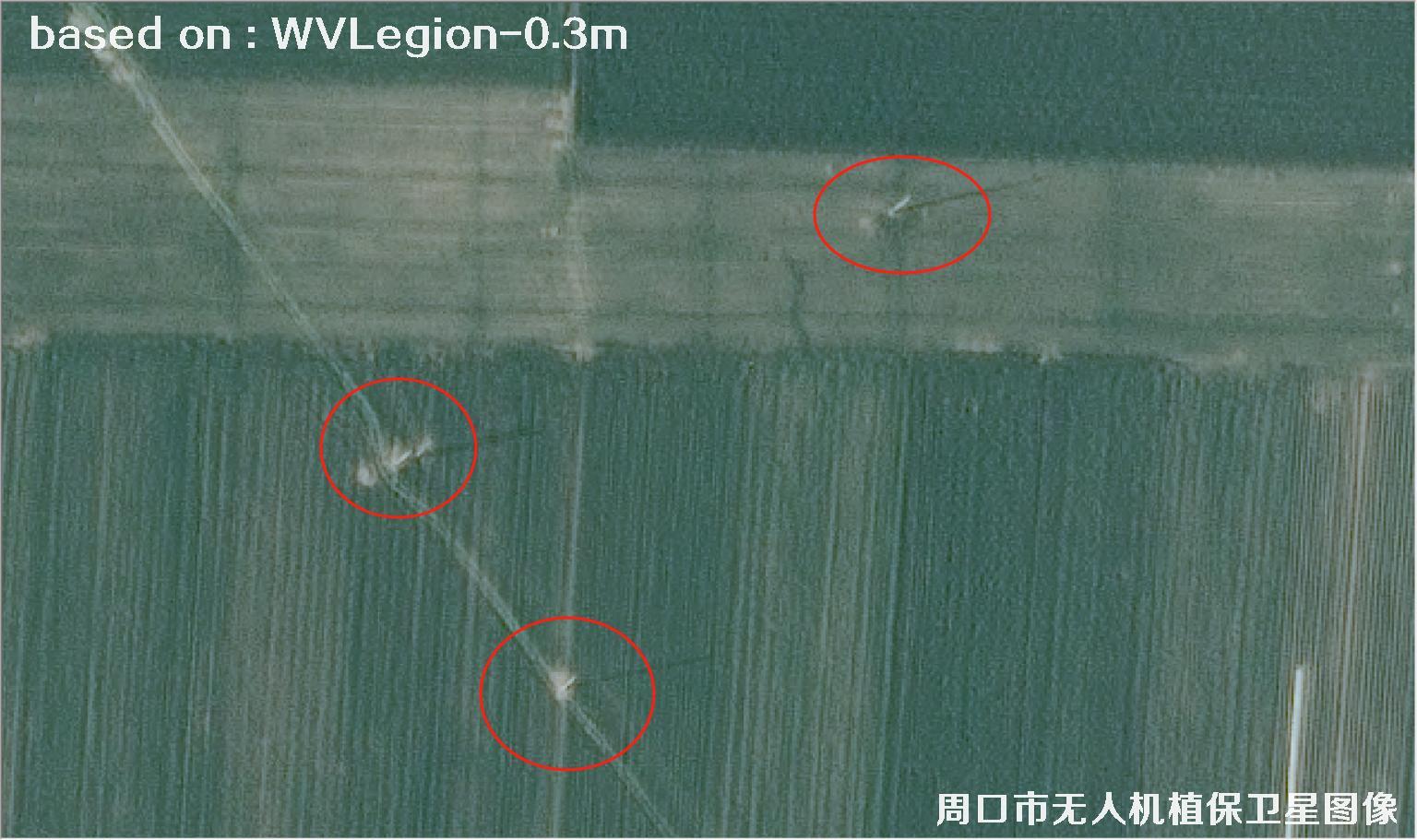 WorldViewLegion卫星2026年3月份拍摄的河南周口耕地0.3米卫星图像