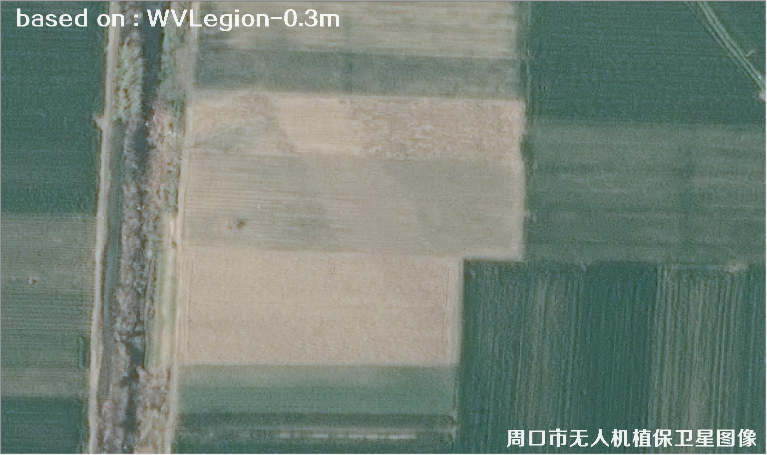 WorldViewLegion卫星2026年3月份拍摄的河南周口耕地0.3米卫星图像