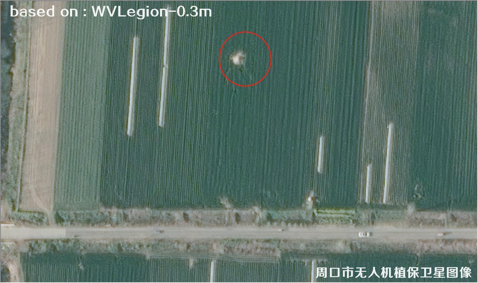 WorldViewLegion卫星2026年3月份拍摄的河南周口耕地0.3米卫星图像
