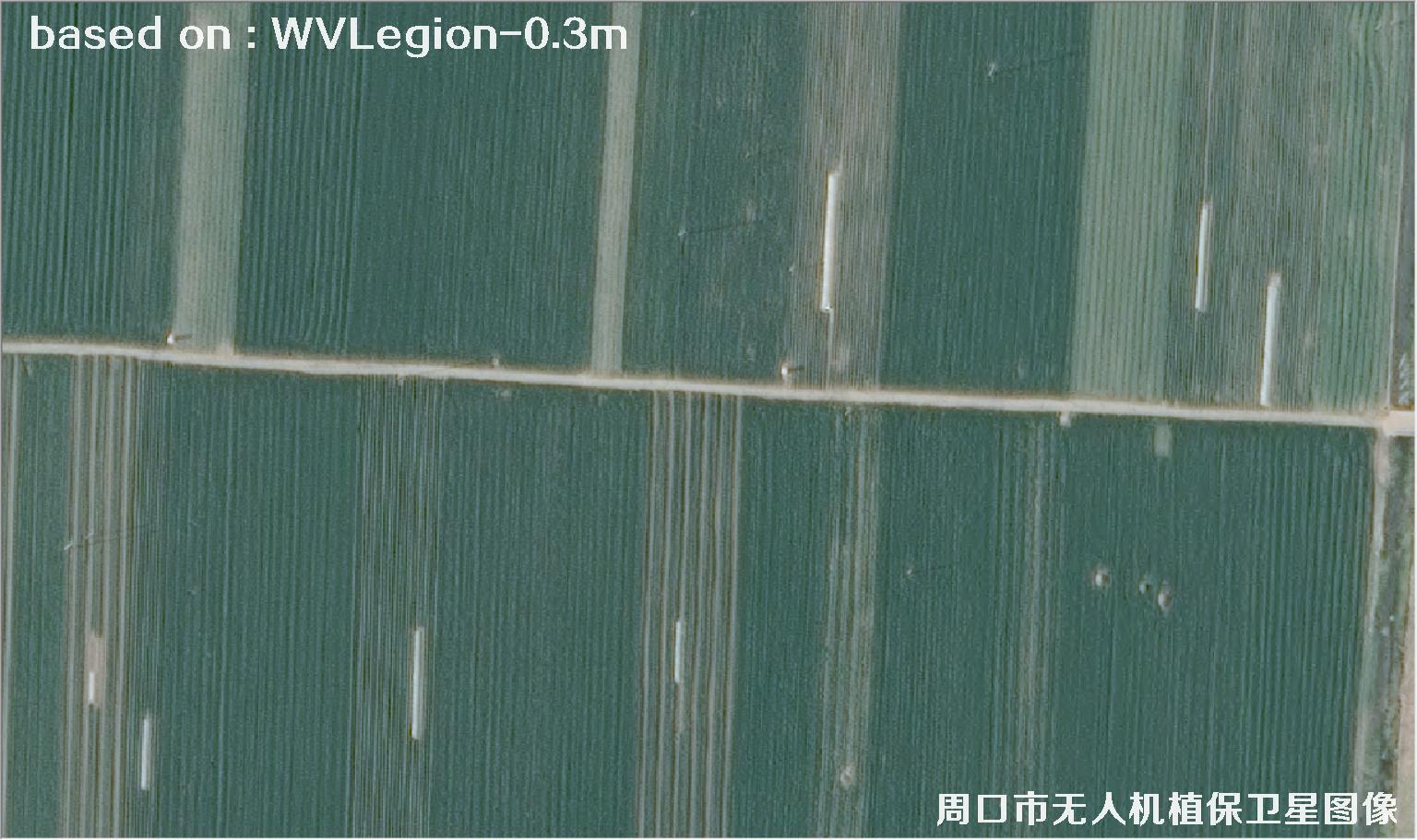 WorldViewLegion卫星2026年3月份拍摄的河南周口耕地0.3米卫星图像