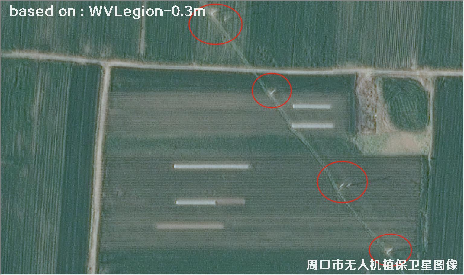 WorldViewLegion卫星2026年3月份拍摄的河南周口耕地0.3米卫星图像