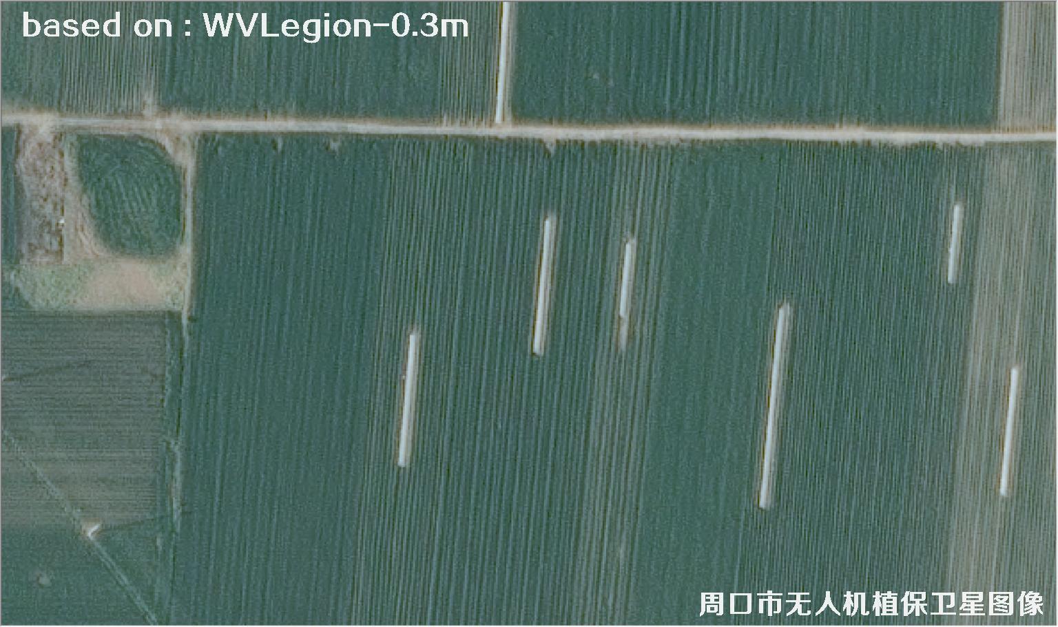 WorldViewLegion卫星2026年3月份拍摄的河南周口耕地0.3米卫星图像