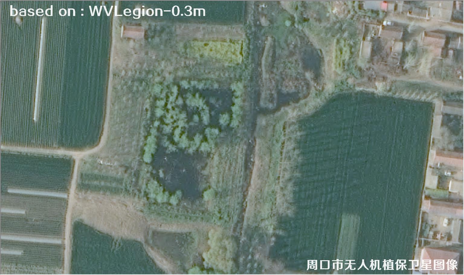WorldViewLegion卫星2026年3月份拍摄的河南周口耕地0.3米卫星图像
