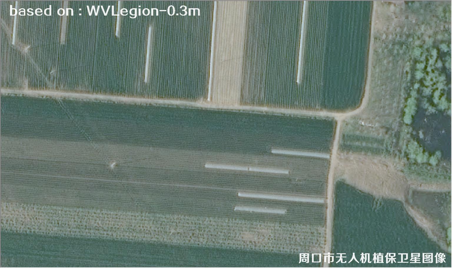WorldViewLegion卫星2026年3月份拍摄的河南周口耕地0.3米卫星图像