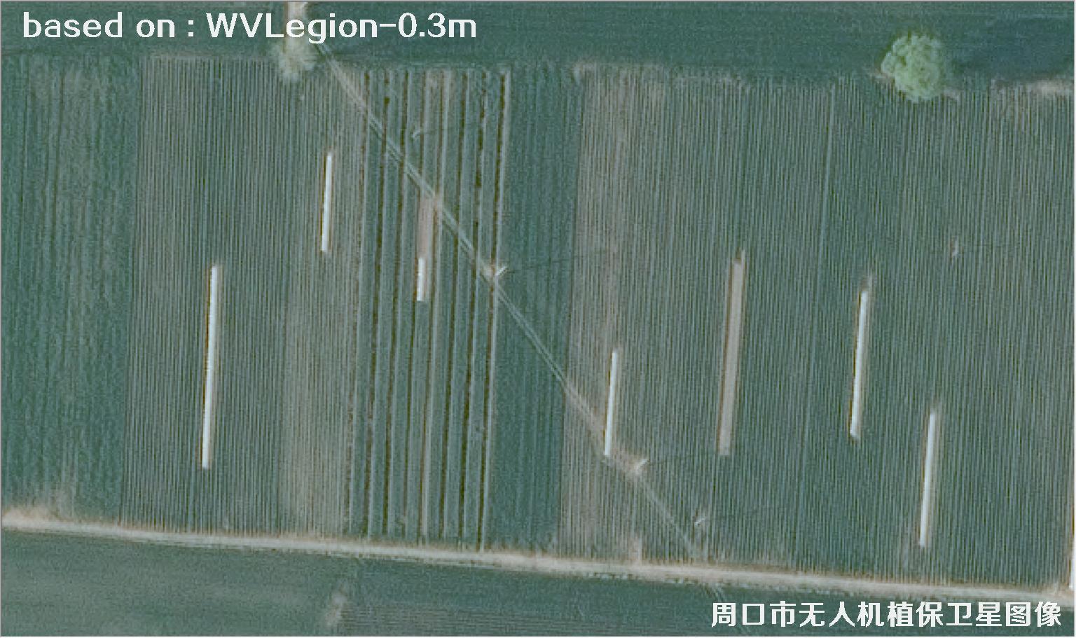 WorldViewLegion卫星2026年3月份拍摄的河南周口耕地0.3米卫星图像