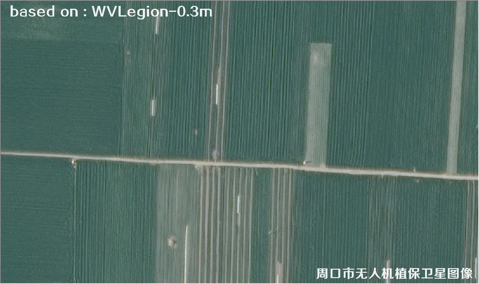 WorldViewLegion卫星2026年3月份拍摄的河南周口耕地0.3米卫星图像