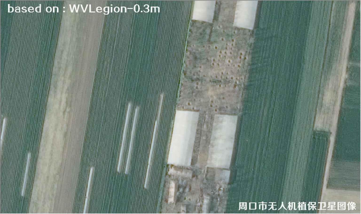 WorldViewLegion卫星2026年3月份拍摄的河南周口耕地0.3米卫星图像