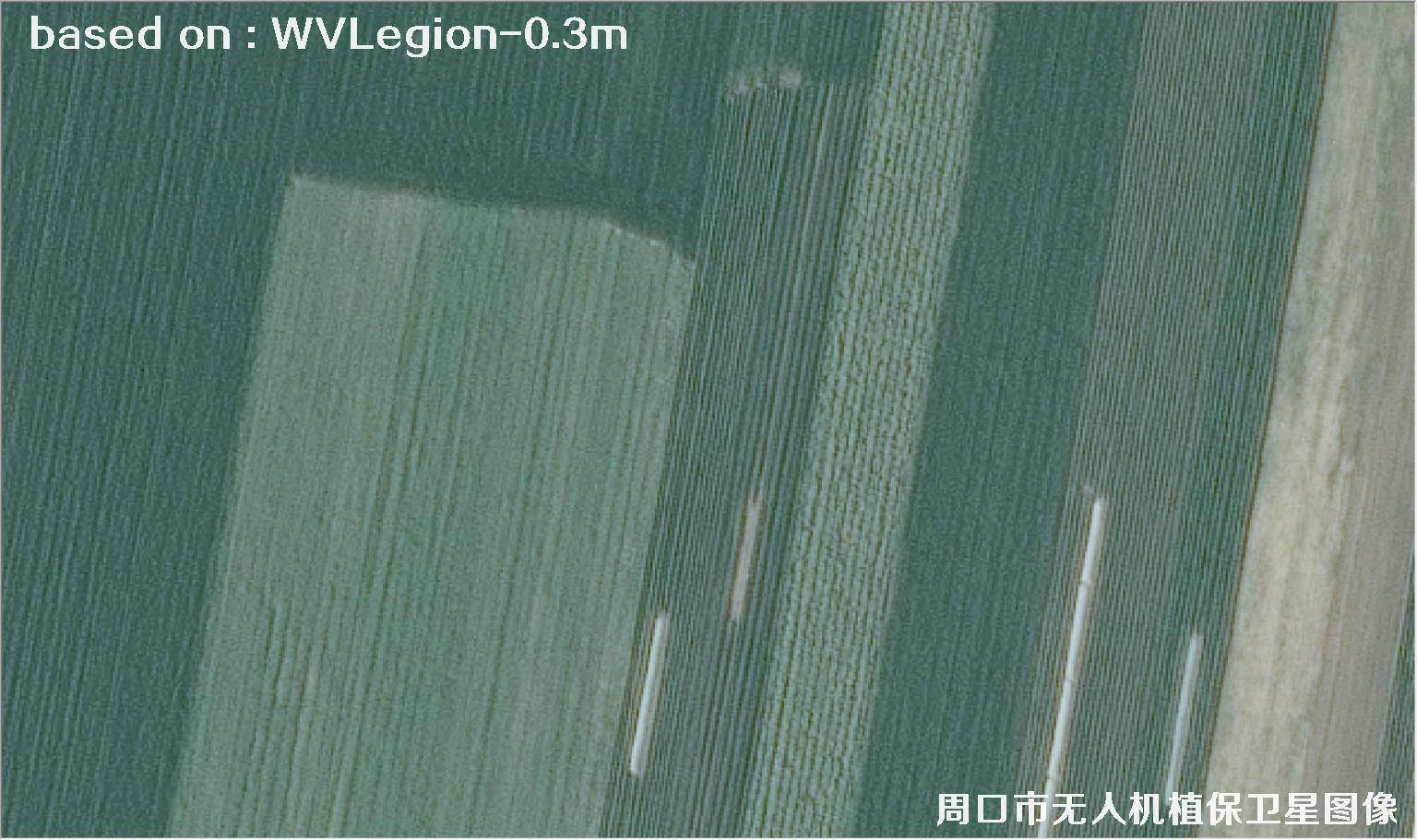 WorldViewLegion卫星2026年3月份拍摄的河南周口耕地0.3米卫星图像