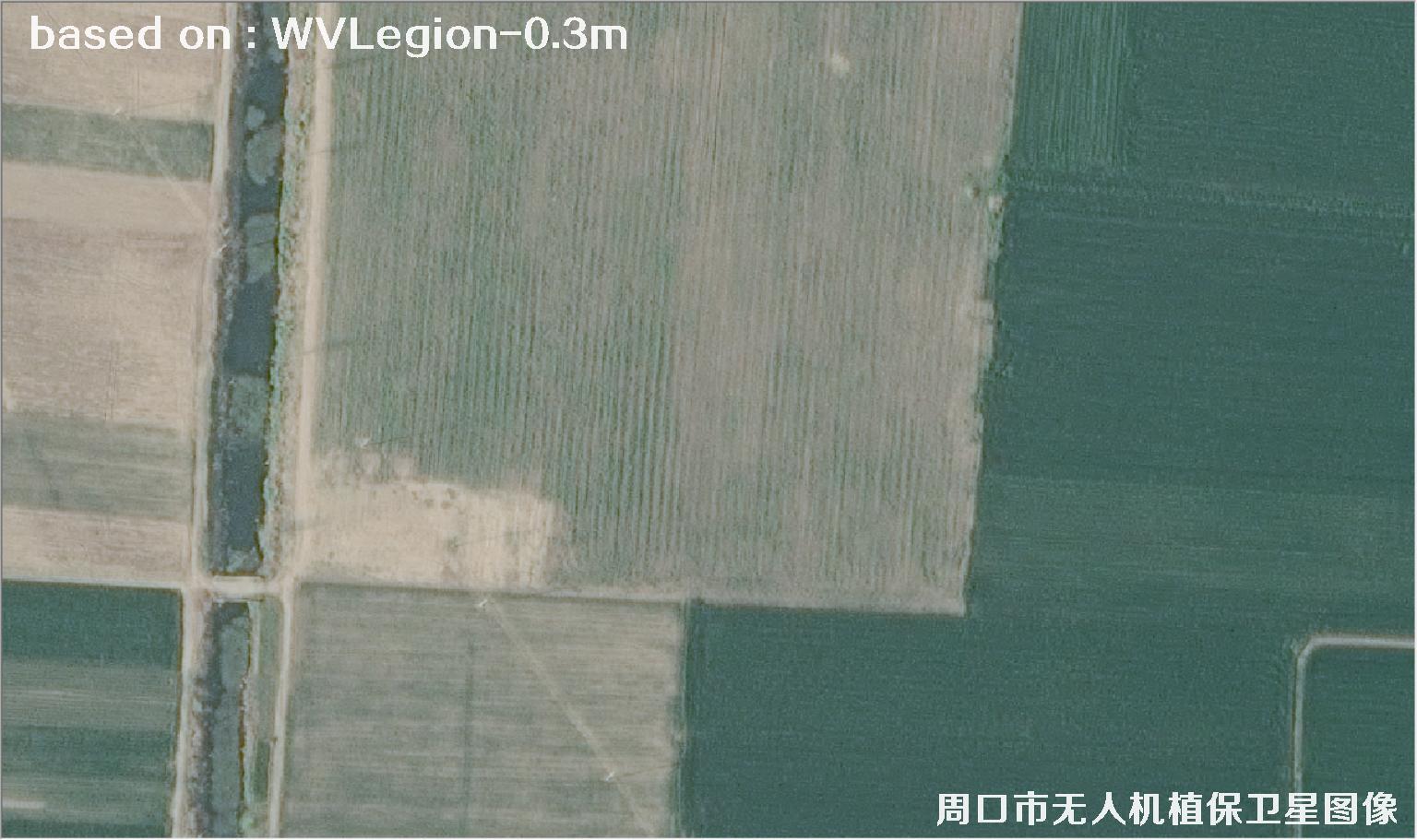 WorldViewLegion卫星2026年3月份拍摄的河南周口耕地0.3米卫星图像