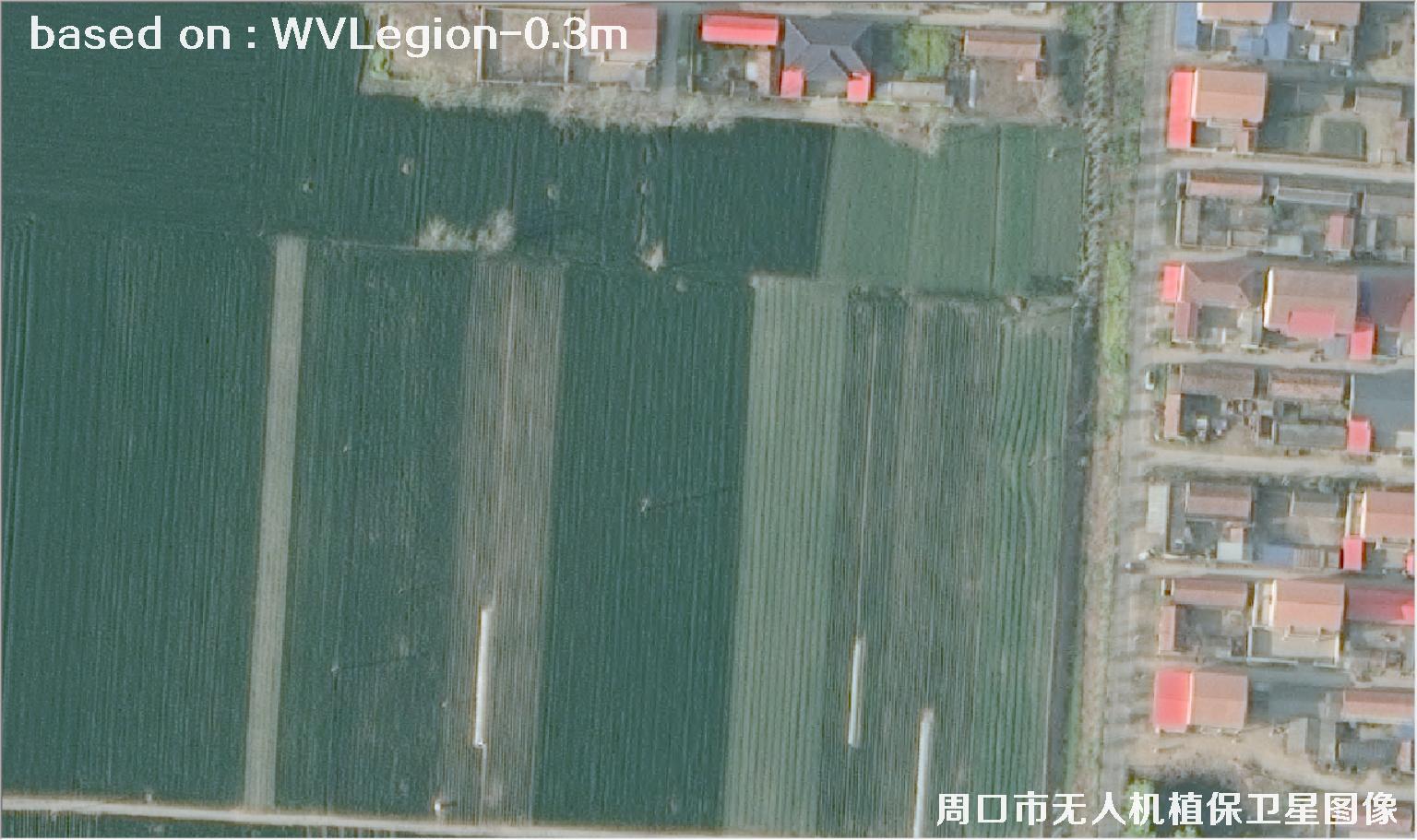 WorldViewLegion卫星2026年3月份拍摄的河南周口耕地0.3米卫星图像