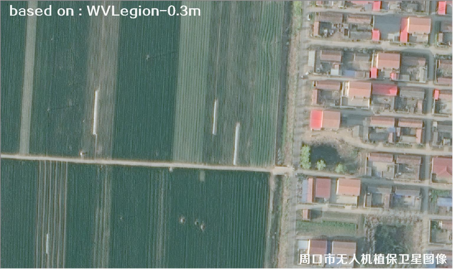 WorldViewLegion卫星2026年3月份拍摄的河南周口耕地0.3米卫星图像