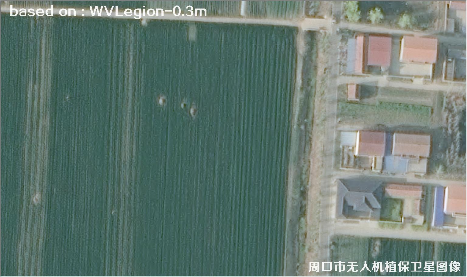 WorldViewLegion卫星2026年3月份拍摄的河南周口耕地0.3米卫星图像